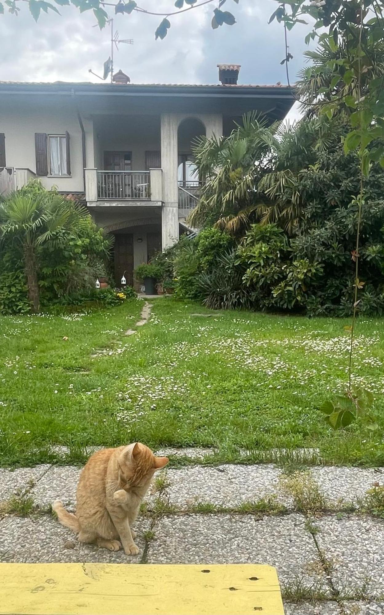Il Giardino Di Emilia - Intero Appartamento In Villa Con Giardino Privato E Piscina Estiva Pontirolo Nuovo Extérieur photo